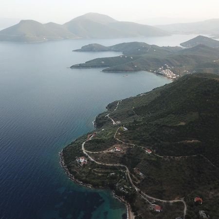 Theoxenia Daire Pteleós Dış mekan fotoğraf