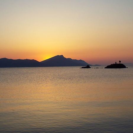 Theoxenia Daire Pteleós Dış mekan fotoğraf