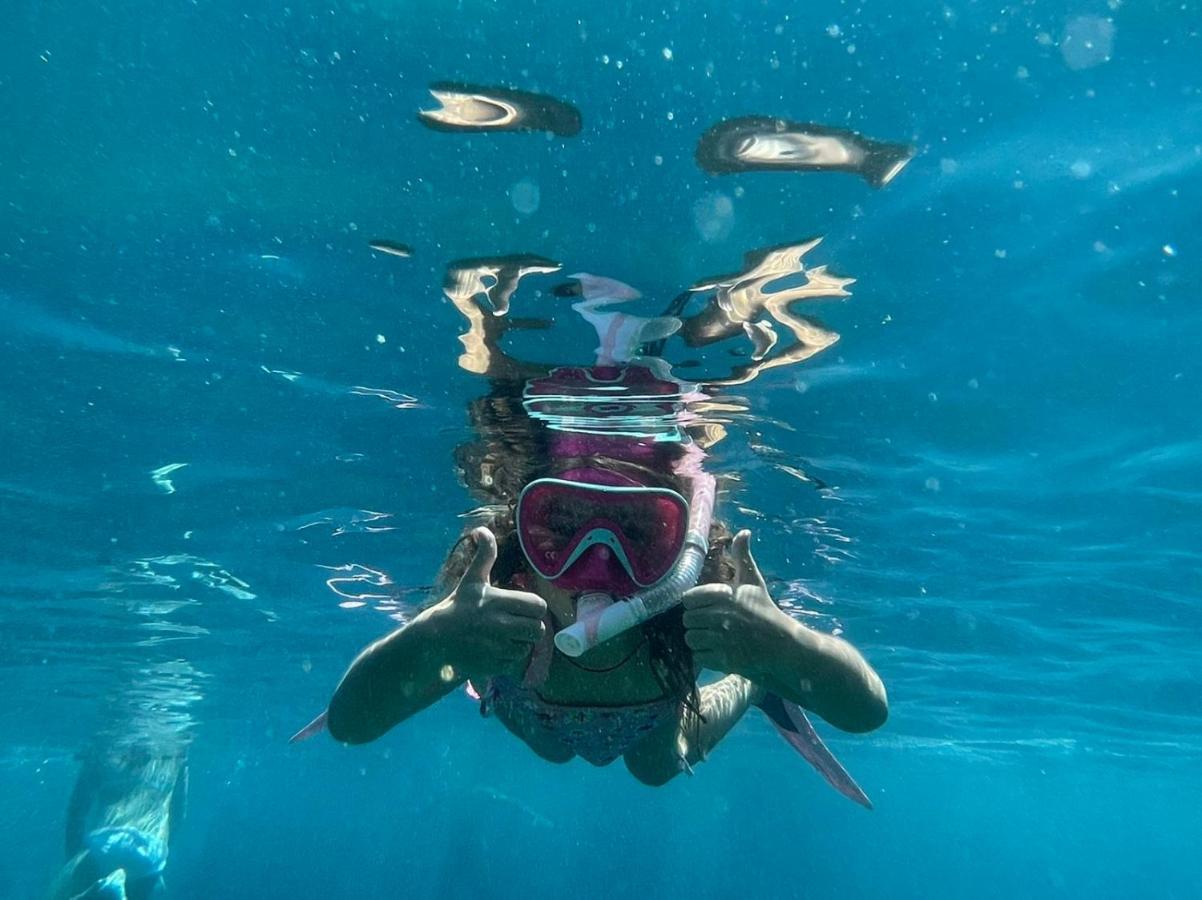 Theoxenia Daire Pteleós Dış mekan fotoğraf