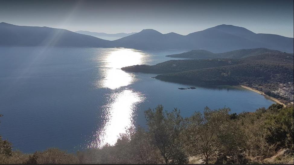Theoxenia Daire Pteleós Dış mekan fotoğraf