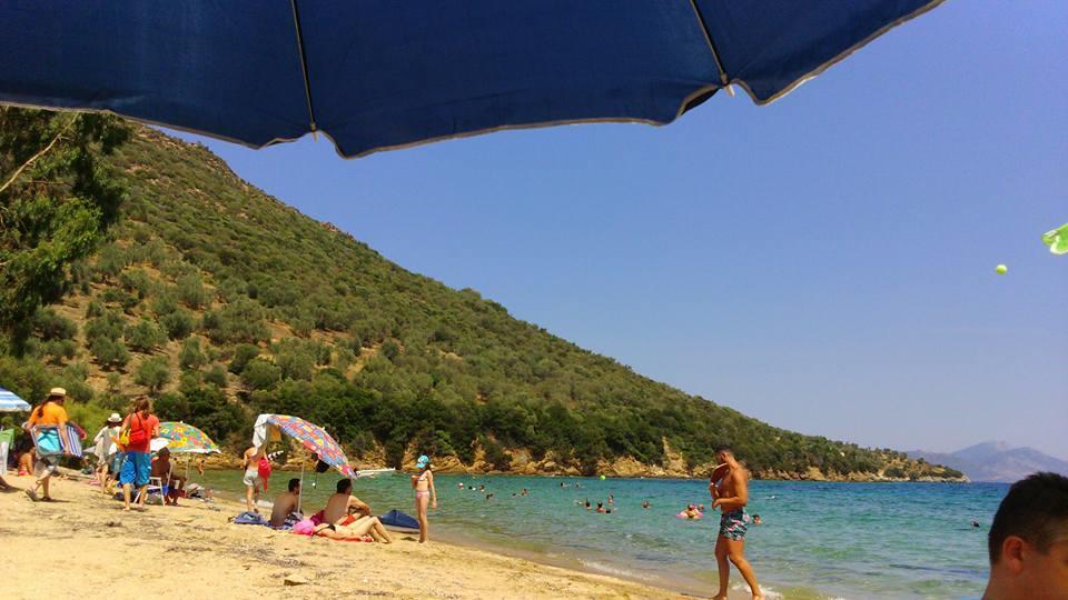 Theoxenia Daire Pteleós Dış mekan fotoğraf