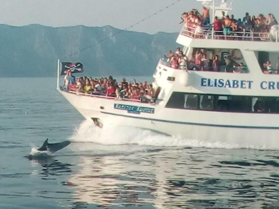 Theoxenia Daire Pteleós Dış mekan fotoğraf