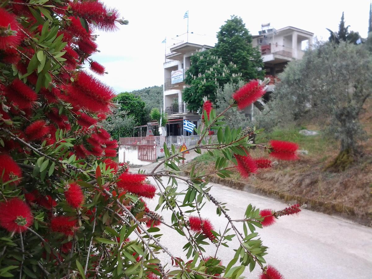 Theoxenia Daire Pteleós Dış mekan fotoğraf